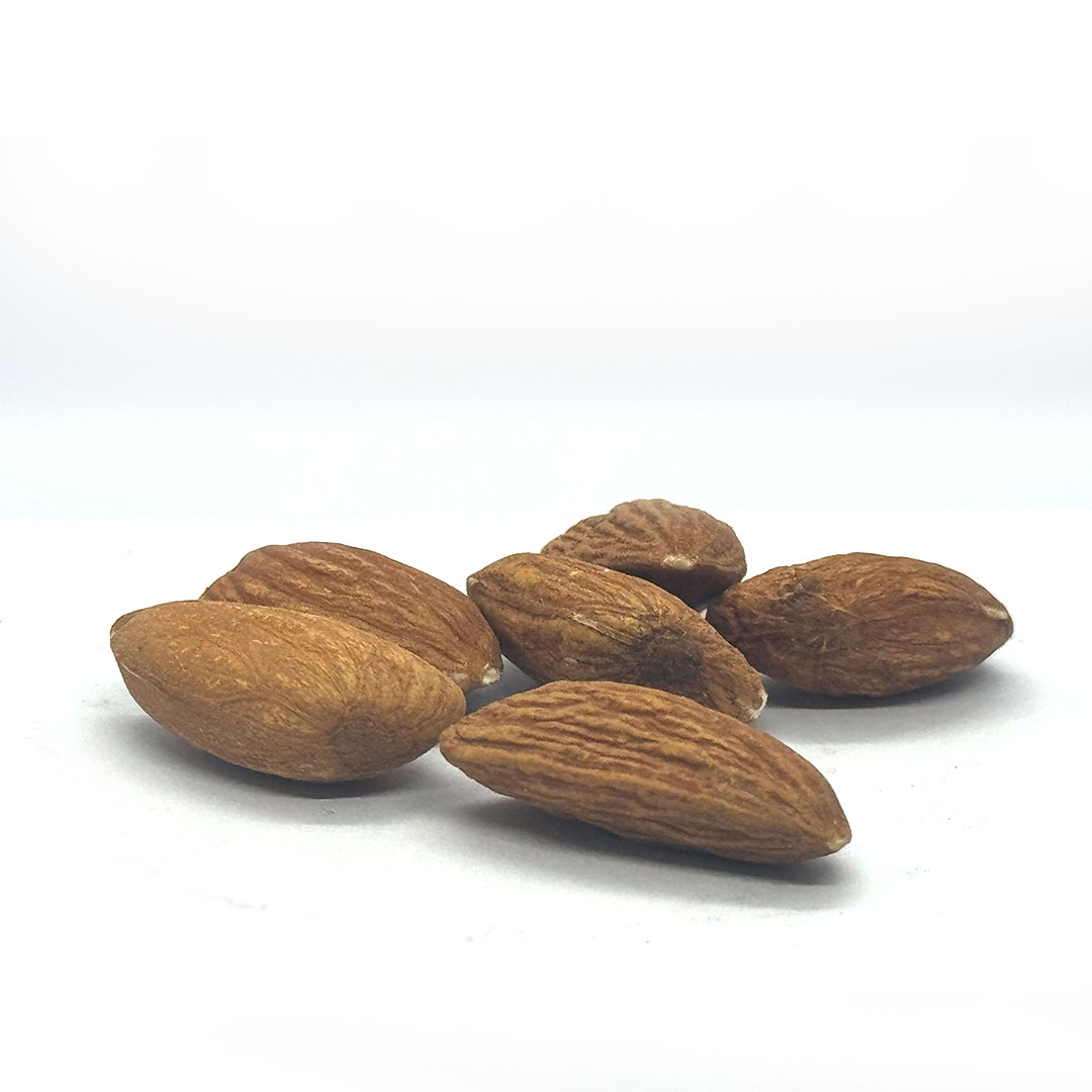 কাঠ বাদাম